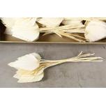 Dried Palm Spear medium Bleached (tk)