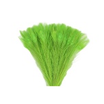 Pauwenveren Peacock Feather Eye Paabulinnu suled Apple Green 45-50cm