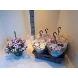 Petunia Petuunia mix 21cm