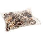 Pinecone spruce 150gr l-6