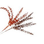 Stick Shine Eucalyptus Copper 80cm (tk)