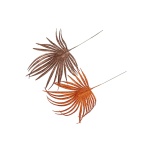 Stick Shine Palm Copper 36cm (tk)