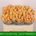 Roos 50cm Alchemy