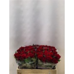 Roos 50cm Red Amarok