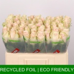 Roos 50cm Pink Athena