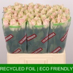 Roos 60cm Pink Athena