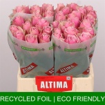 Roos 40cm Athena Royale