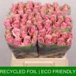 Roos 40cm Athena Royale
