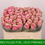 Roos 50cm Athena Royale