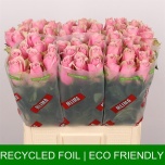 Roos 60cm Athena Royale