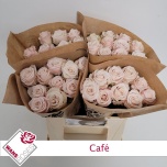 Roos 40cm Cafe