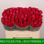 Roos 50cm Madam Cerise