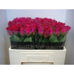 Roos 50cm Madam Cerise