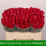 Roos 50cm Madam Cerise