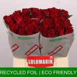 Roos 40cm Ever Red