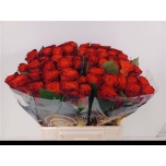 Roos 40cm Fiorella
