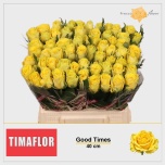 Roos 40cm Good Times