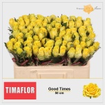 Roos 50cm Good Times