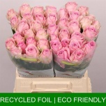 Roos 40cm Heidi