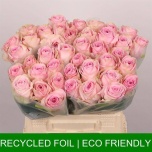 Roos 40cm Heidi