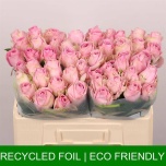 Roos 50cm Heidi