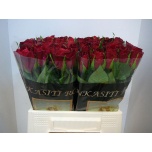 Roos 40cm Madam Red