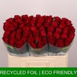 Roos 50cm Madam Red