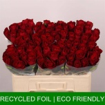 Roos 50cm Madam Red