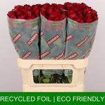 Roos 80cm Madam Red