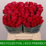 Roos 40cm Madam Cerise