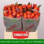 Roos 40cm Mariyo