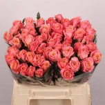 Roos 40cm Miss Piggy