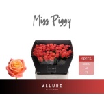 Roos 60cm Miss Piggy
