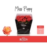 Roos 80cm Miss Piggy