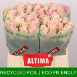 Roos 40cm Pink Athena