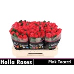 Roos 60cm Pink Tacazzi