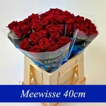 Roos 40cm Naomi