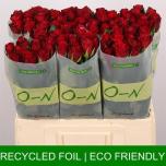 Roos 60cm Red Ribbon