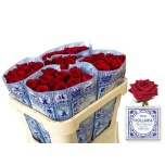Roos 70cm Red Naomi