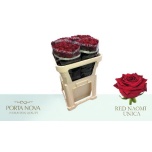 Roos 70cm Red Naomi Porta Nova