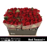 Roos 40cm Red Tacazzi