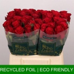 Roos 40cm Red Tacazzi