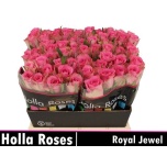 Roos 40cm Royal Jewel