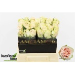 Roos 40cm Wedding Rose