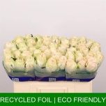 Roos 50cm Wedding Rose