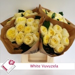 Roos 40cm White Vuvuzela