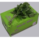 Salal Tips 40-45cm (pk)