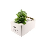 Salal Tips 40-45cm (pk)