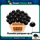 Stick Pumpkin Kõrvits Velvet Ø6cm Black 55cm