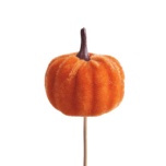 Stick Pumpkin Kõrvits Velvet Ø5cm Orange 10cm